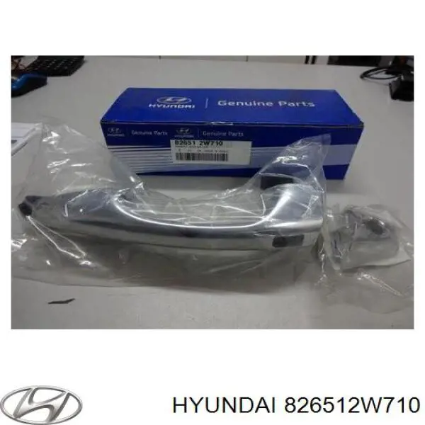 Tirador de puerta exterior delantero izquierda para Hyundai Santa Fe (DM)