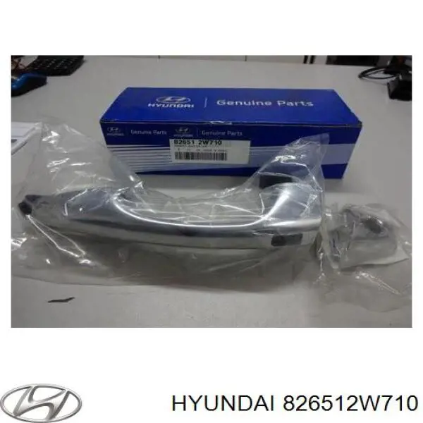 Tirador de puerta exterior delantero izquierda Hyundai Santa Fe 3 (DM)