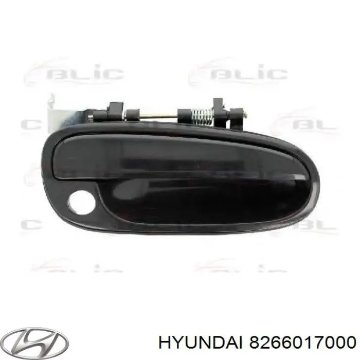 8266017000 Hyundai/Kia tirador de puerta exterior delantero derecha