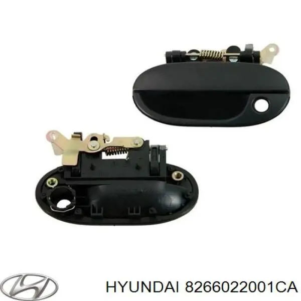 8266022001CA Hyundai/Kia tirador de puerta exterior delantero derecha