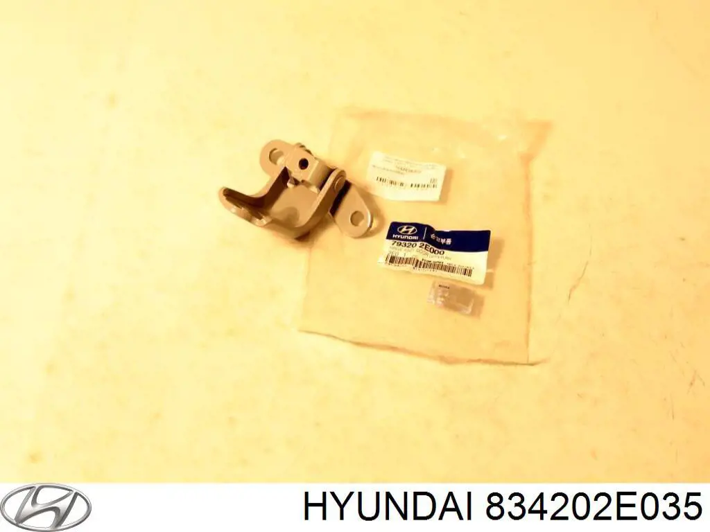 834202E030 Hyundai/Kia luna de puerta trasera derecha