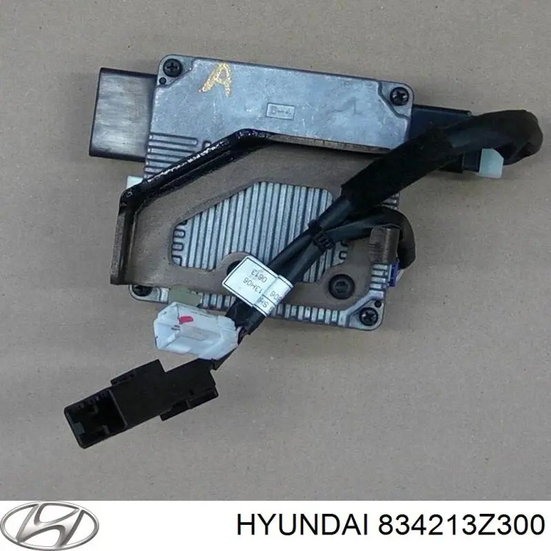 834213Z300 Hyundai/Kia luna de puerta trasera derecha