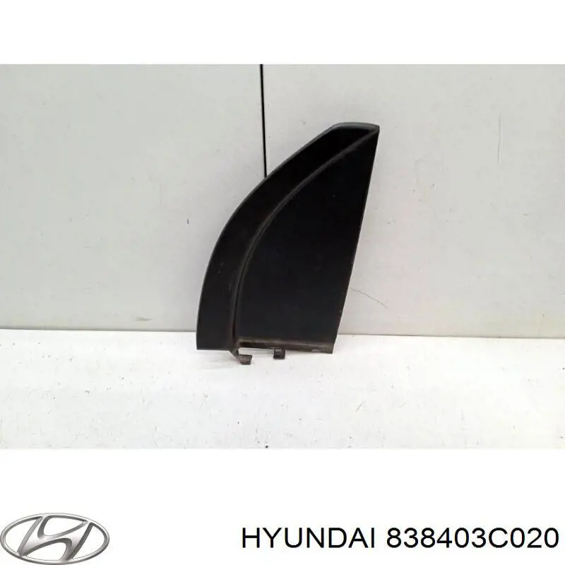 838403C020 Hyundai/Kia moldura de luneta trasera derecha