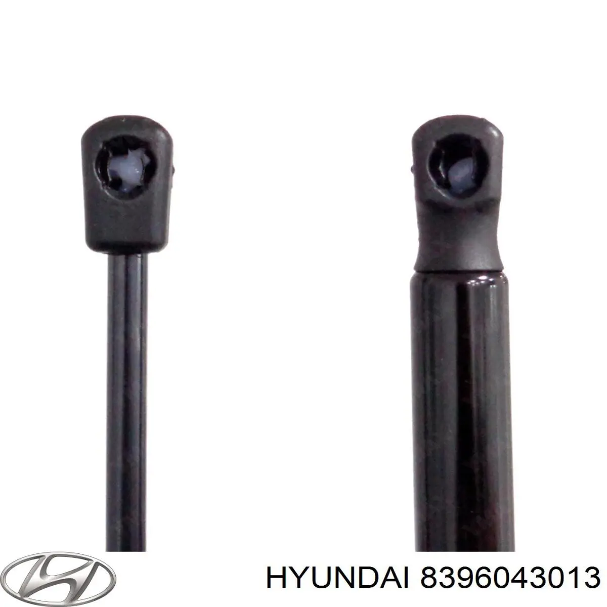 8396043013 Hyundai/Kia