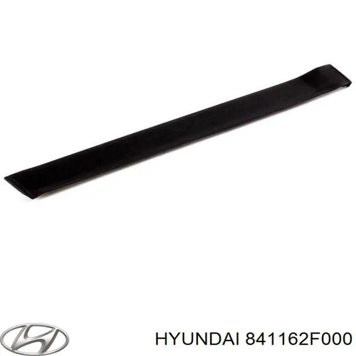 841162F000 Hyundai/Kia