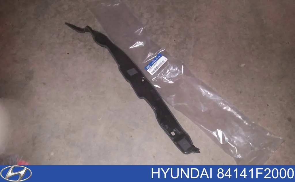 84141F2000 Hyundai/Kia