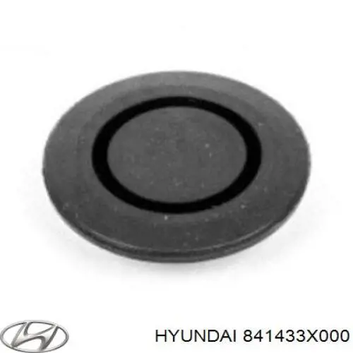 841433X000 Hyundai/Kia