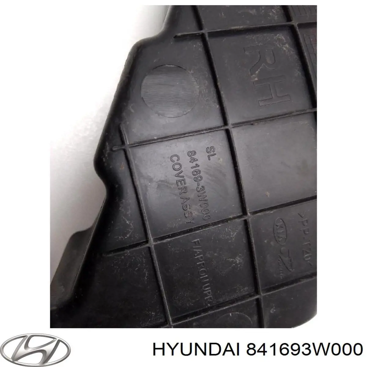 841693W000 Hyundai/Kia