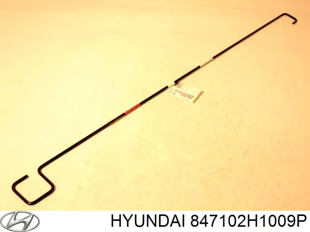 847102H1009P Hyundai/Kia