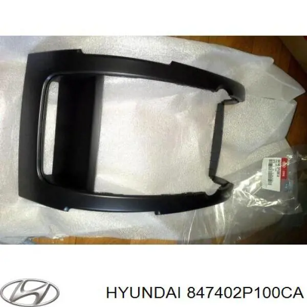 847402P100CA Hyundai/Kia