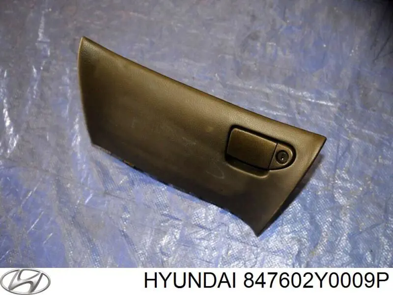 Parte inferior del salpicadero Hyundai/Kia 847602Y0009P precio, desde 139,43 EUR