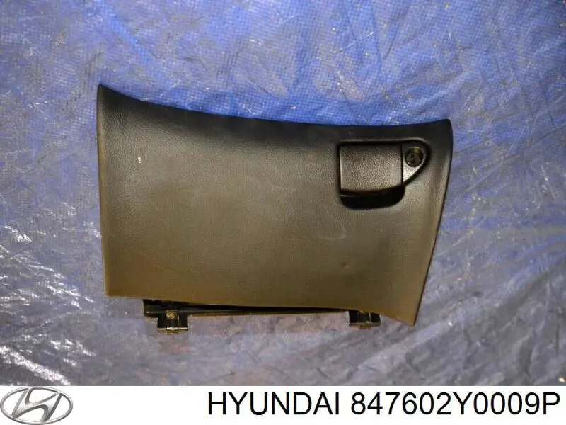 Salpicadero inferior para Hyundai Ix35 (LM)