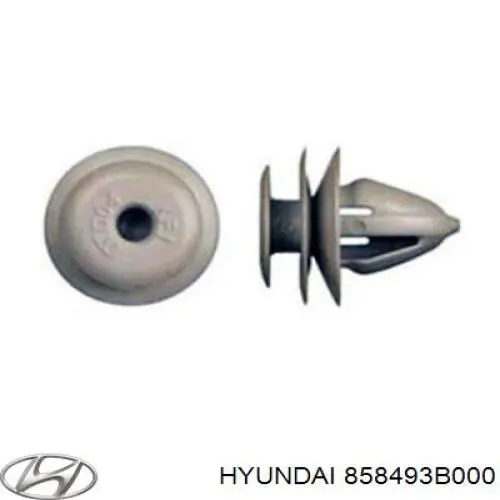 858493B000 Hyundai/Kia