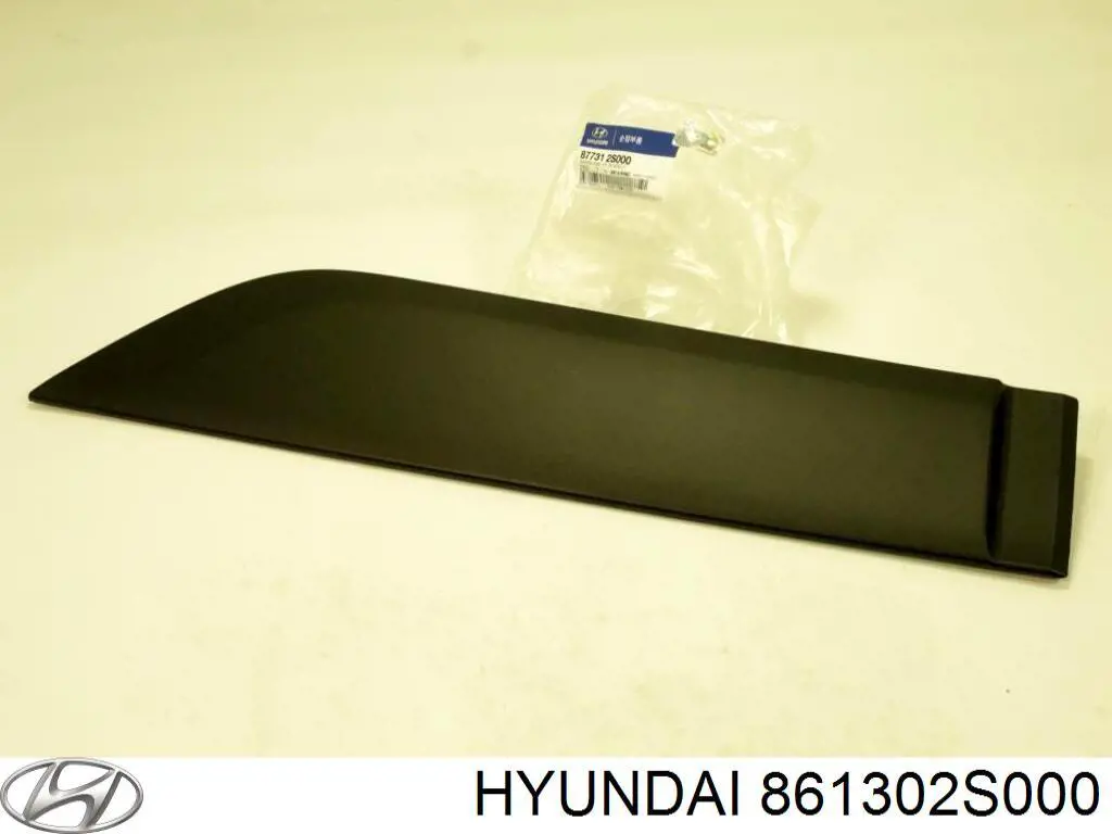 Moldeado del parabrisas para Hyundai Tucson (TM)