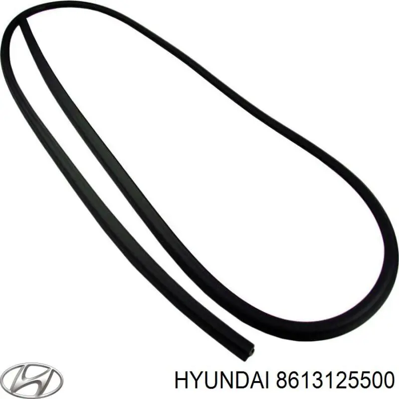 8613125500 Hyundai/Kia