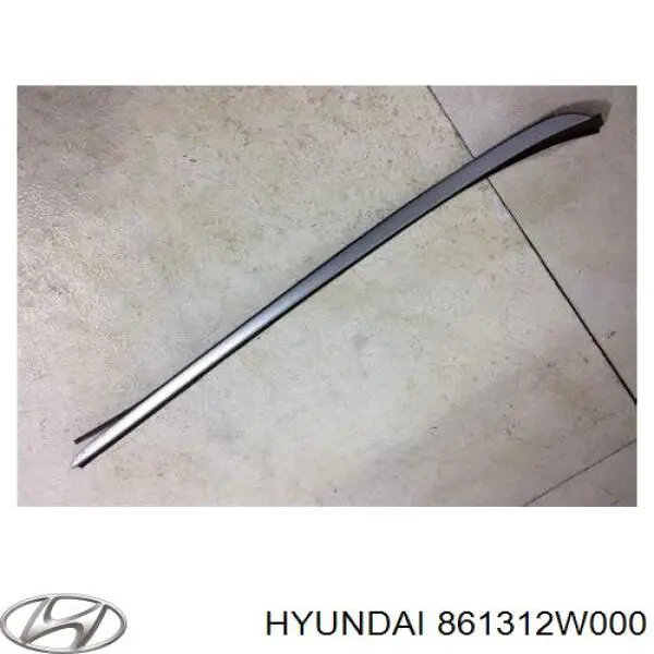 Moldura de parabrisas izquierda para Hyundai Santa Fe (DM)