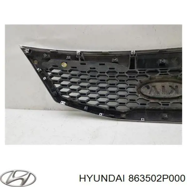 Parrilla 863502P000 Hyundai/Kia