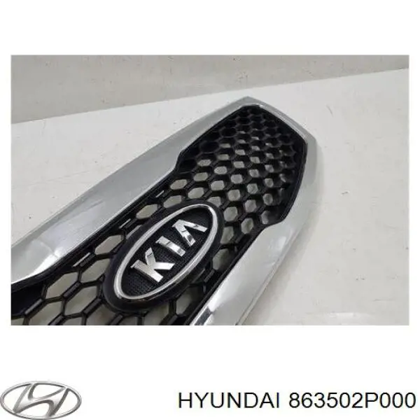863502P000 Hyundai/Kia parrilla