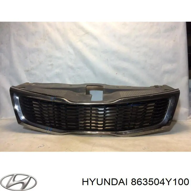 863504Y100 Hyundai/Kia Calandra