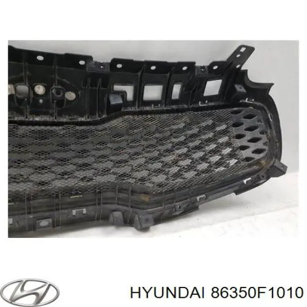 Rejilla delantera Hyundai/Kia 86350F1000 precio, desde 295,93 EUR