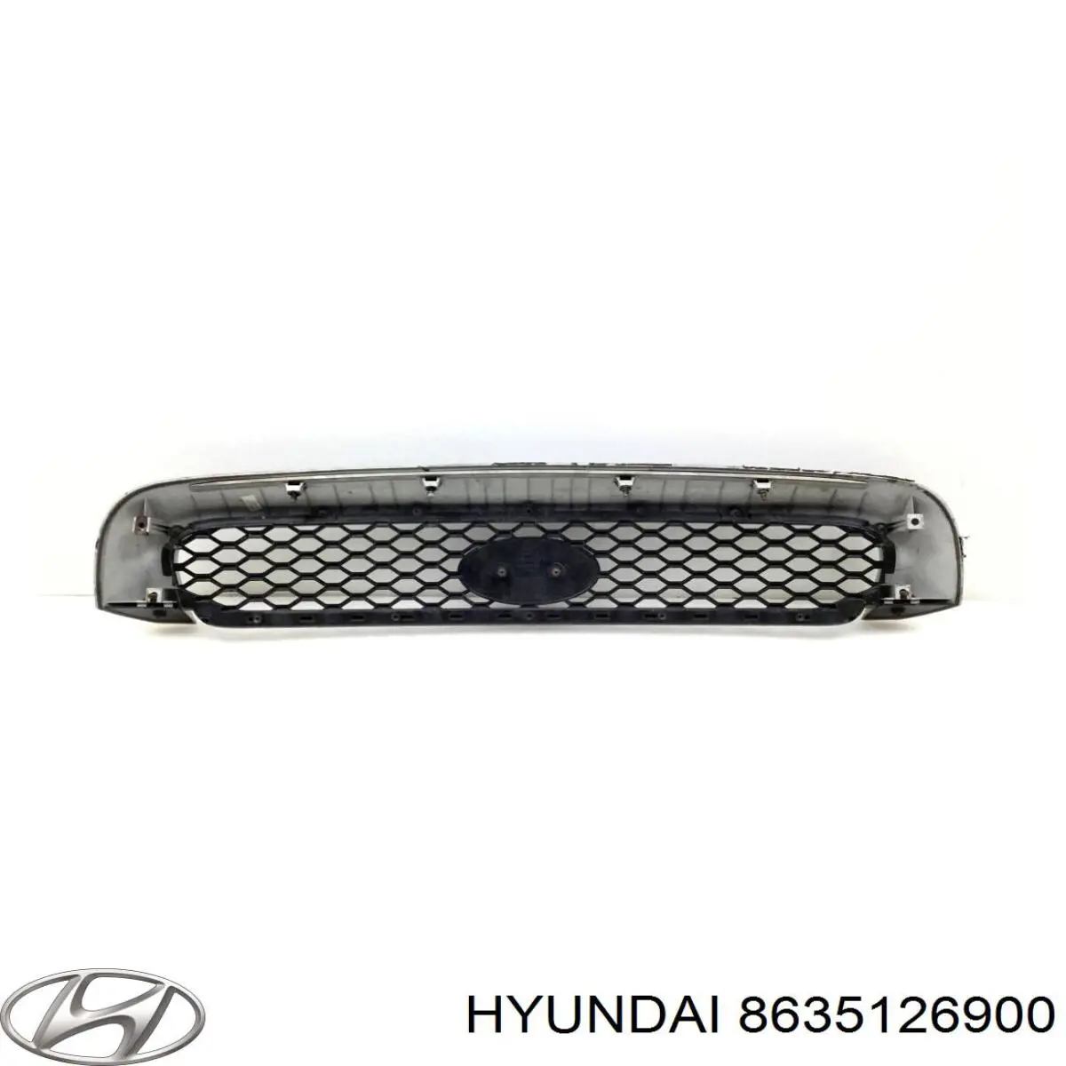 Rejilla delantera Hyundai Santa Fe I SUV (SM) (2000 - 2006) precio, desde 68,24 EUR
