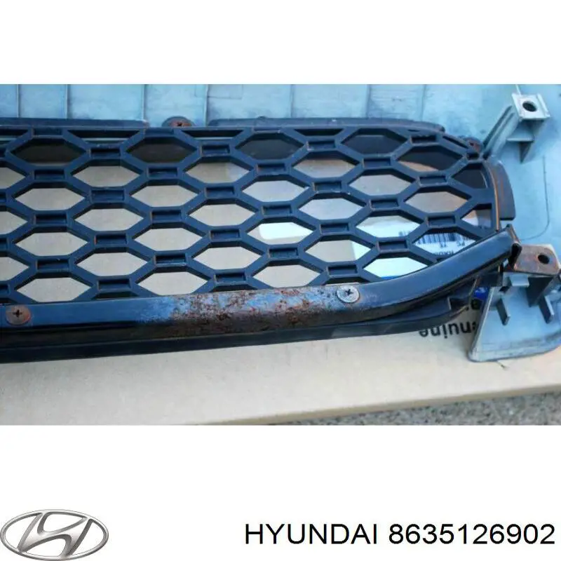 8635126902 Hyundai/Kia rejilla de radiador
