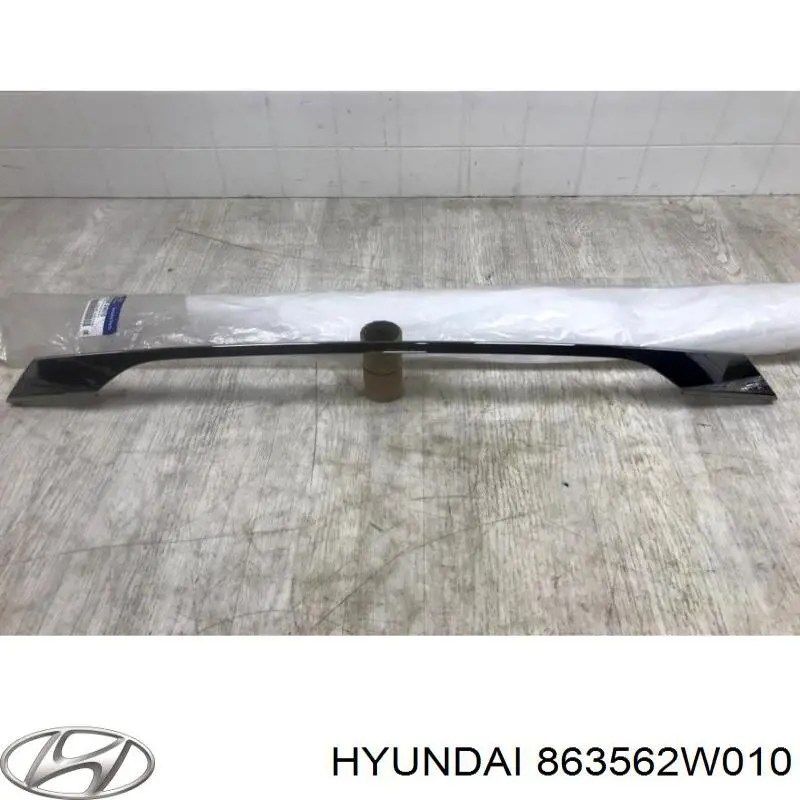 863562W010 Hyundai/Kia