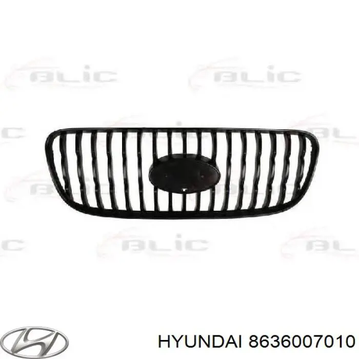 Rejilla delantera Hyundai/Kia 8636007010 precio, desde 13,11 EUR