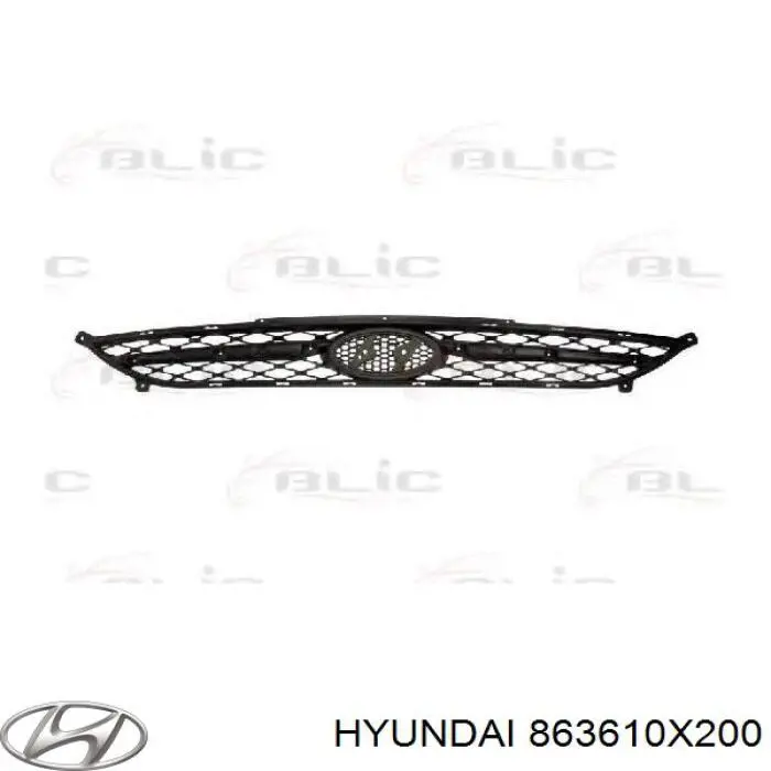 863610X200 Hyundai/Kia rejilla de radiador