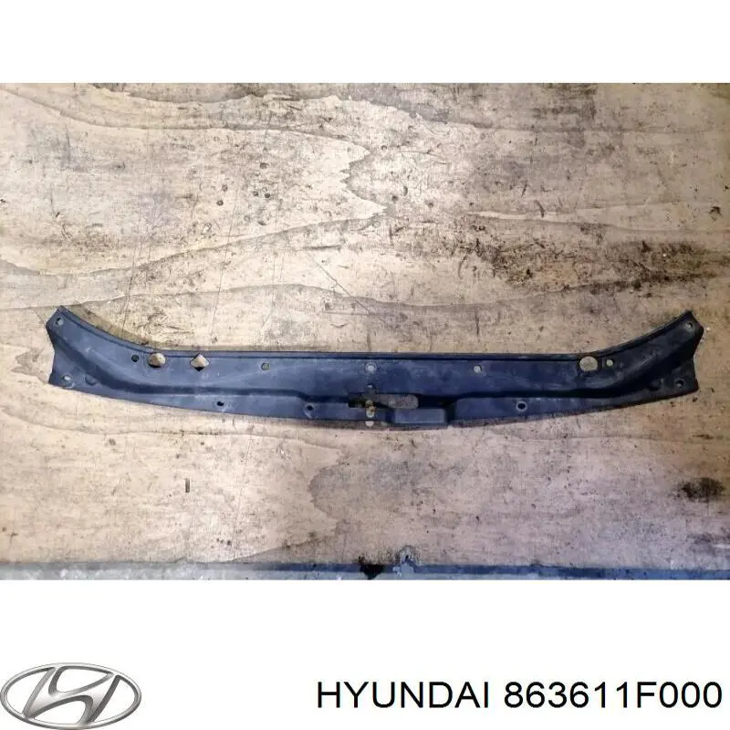 863611F000 Hyundai/Kia