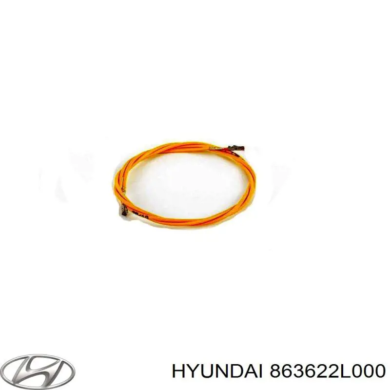 863622L000 Hyundai/Kia