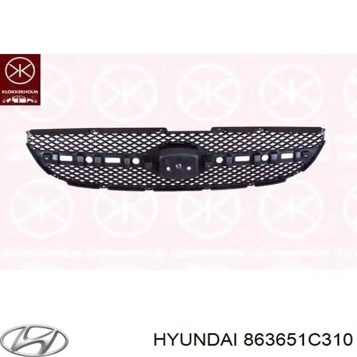 863651C310 Hyundai/Kia Calandra