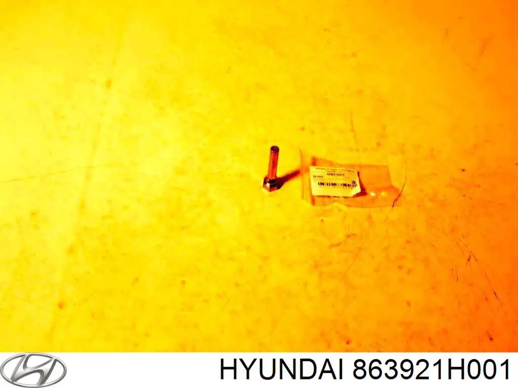 863921H001 Hyundai/Kia