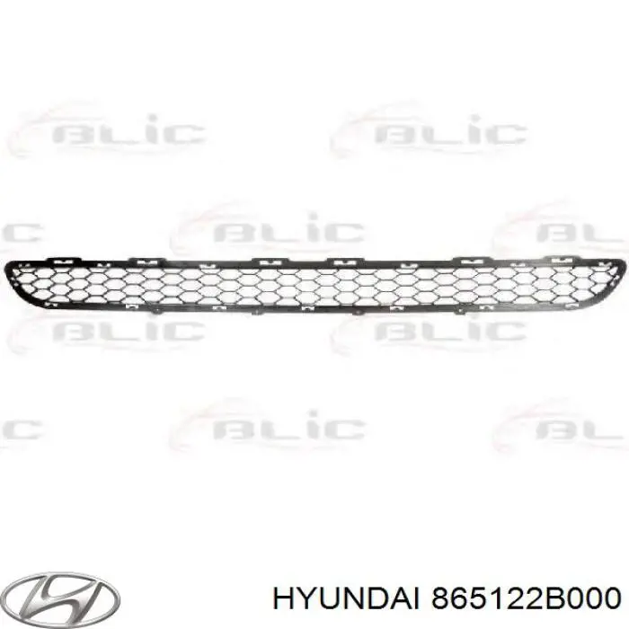 Rejilla delantera Hyundai/Kia 865122B000 precio, desde 14,42 EUR