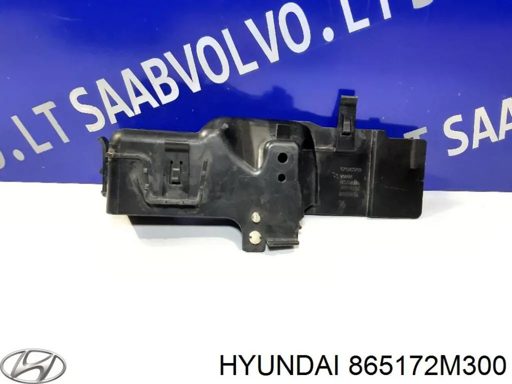 865172M300 Hyundai/Kia