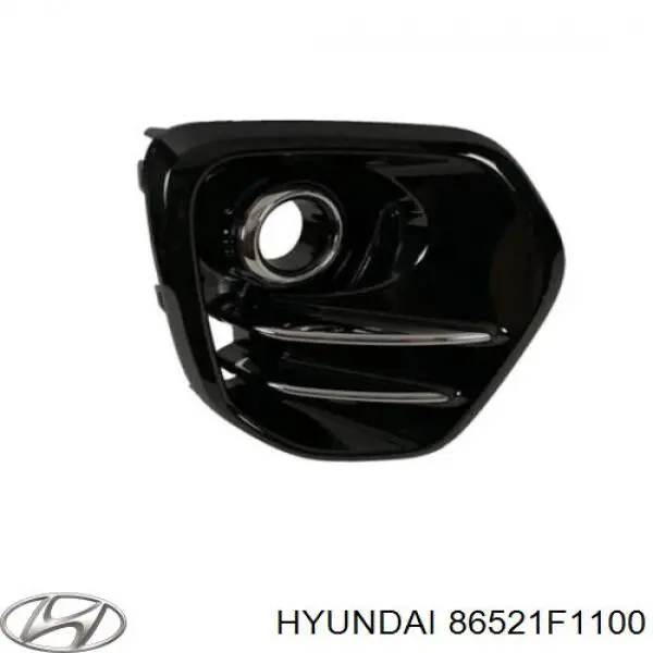 Tapa de rejilla de faro antiniebla delantero izquierdo Hyundai/Kia 86521F1100 precio, desde 34,06 EUR