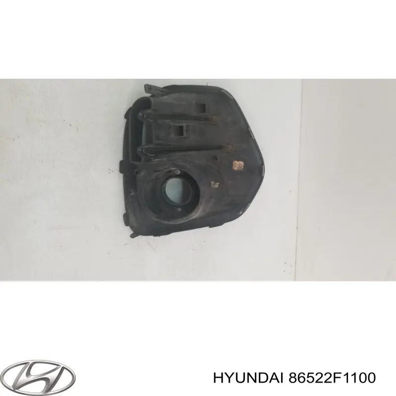 Tapa de rejilla de faro antiniebla delantero derecho Hyundai/Kia 86522F1100 precio, desde 41,26 EUR