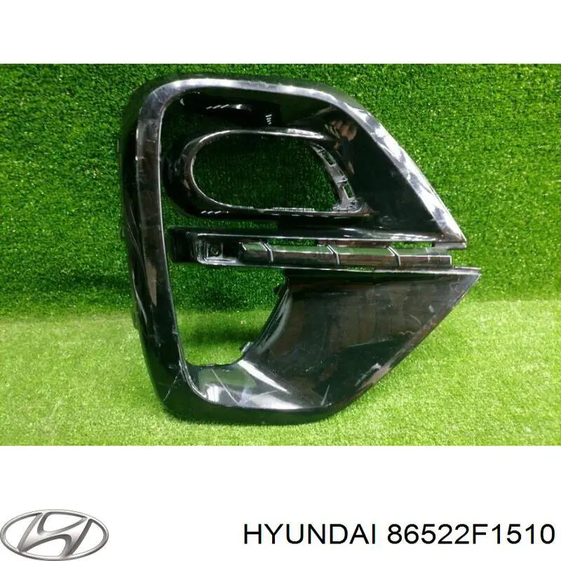 Tapa de rejilla de faro antiniebla delantero derecho Hyundai/Kia 86522F1510 precio, desde 196,05 EUR