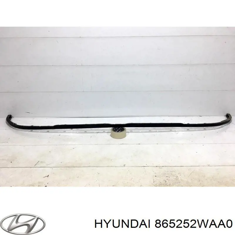 865252WAA0 Hyundai/Kia alerón delantero