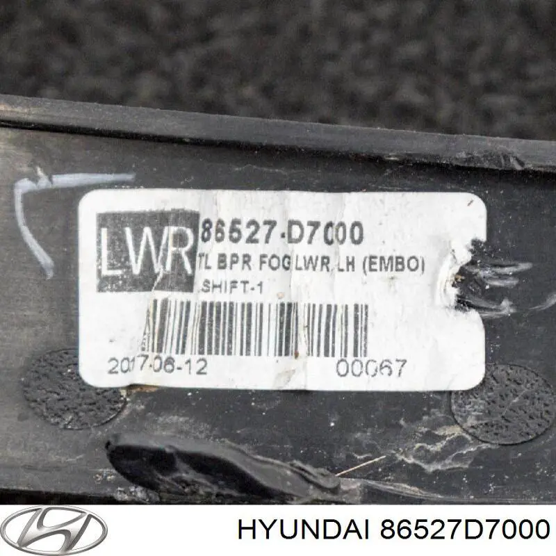 Embellecedor izquierdo del parachoques delantero para Hyundai Tucson (TL)