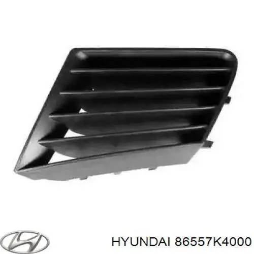 Protector paragolpes delantero izquierdo para Hyundai KONA (OS)