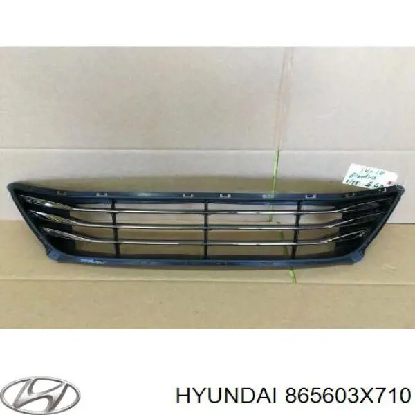 865603X710 Hyundai/Kia rejilla de ventilación, parachoques delantero, inferior
