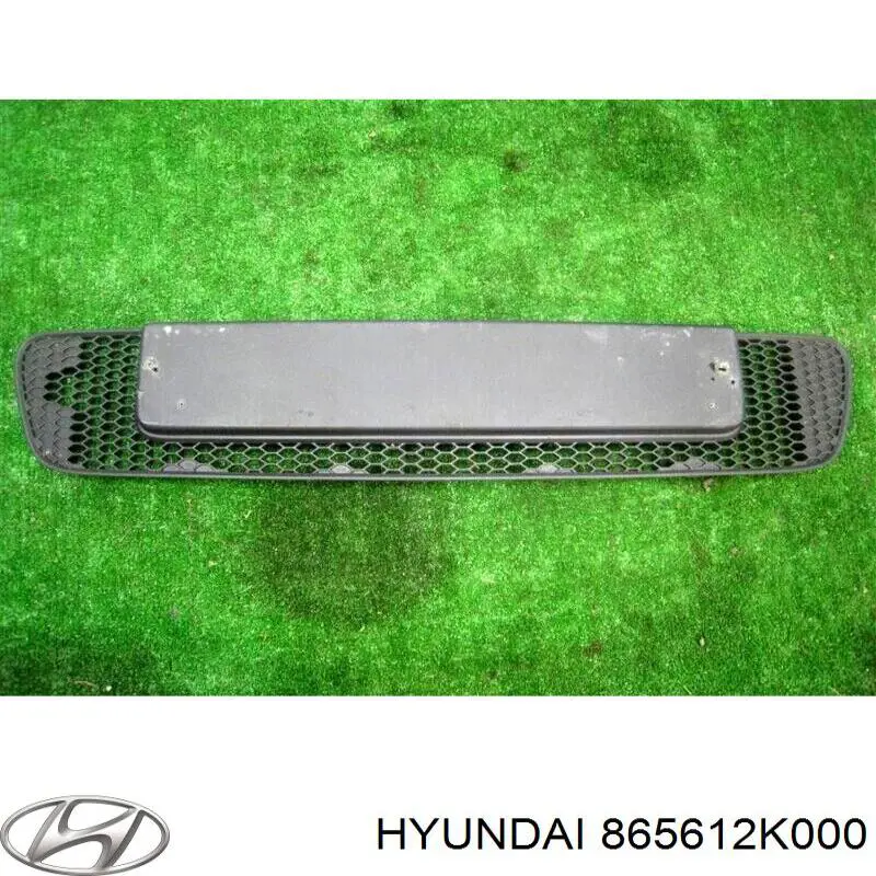 Rejilla del parachoques delantero Hyundai/Kia 865612K000 precio, desde 42,43 EUR
