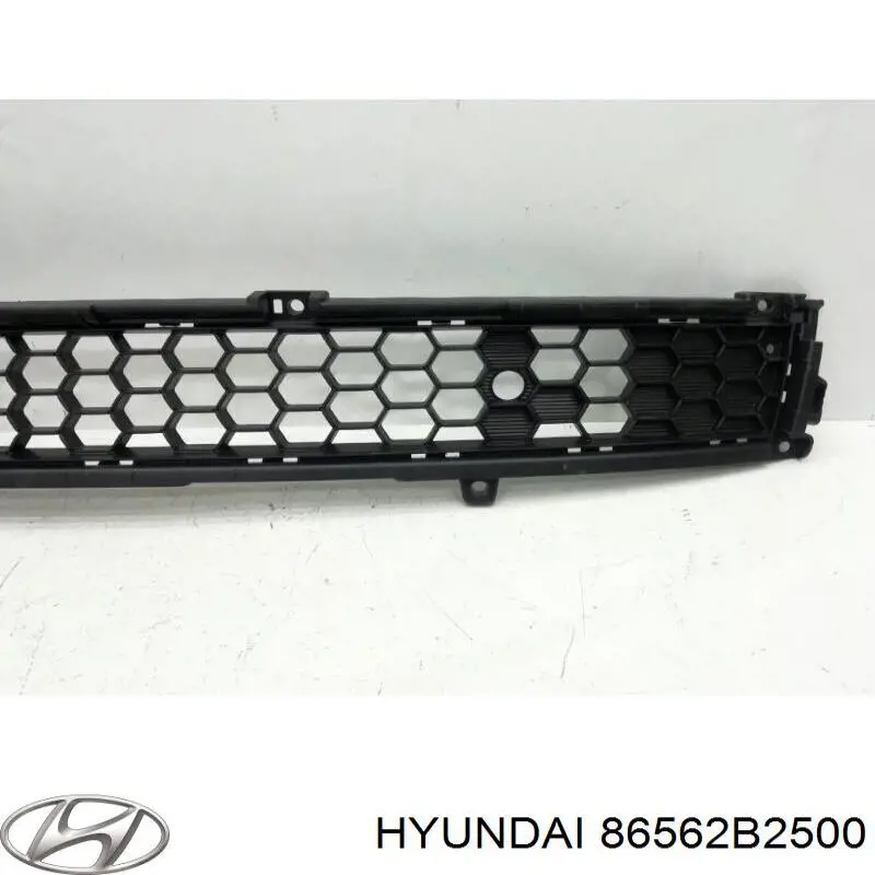Rejilla inferior del parachoques delantero Hyundai/Kia 86562B2500 precio, desde 95,50 EUR