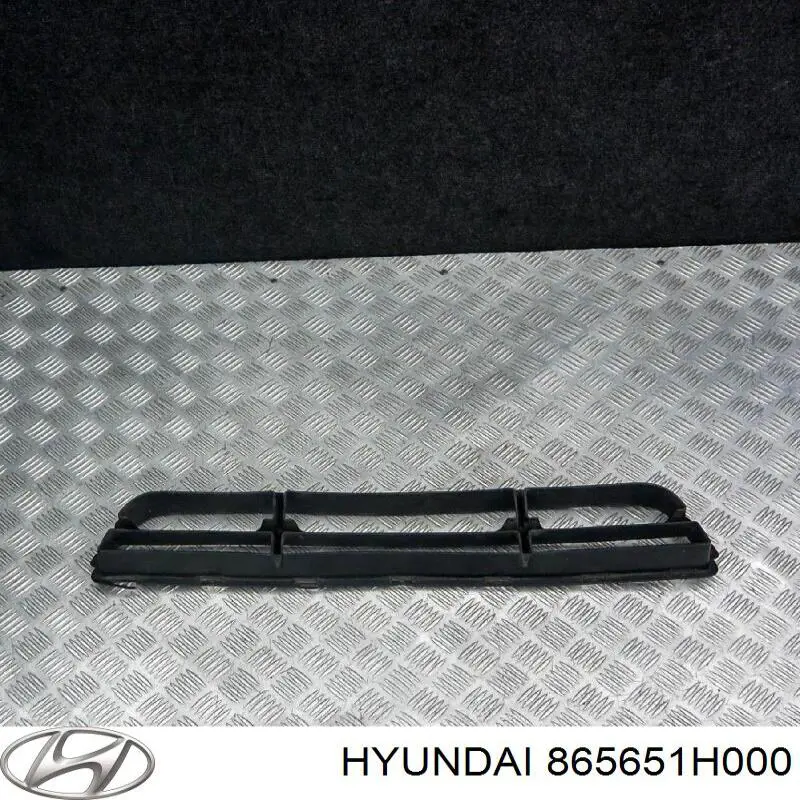 Tapa de rejilla de faro antiniebla delantero izquierdo Hyundai/Kia 865651H000 precio, desde 20,52 EUR