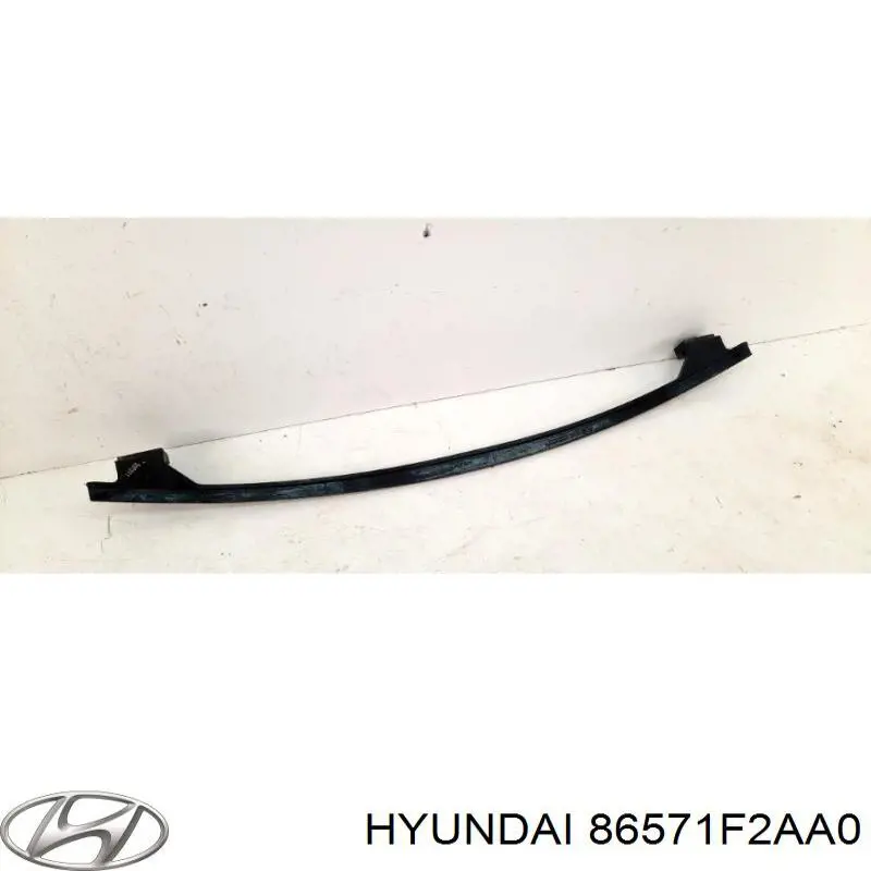 86571F2AA0 Hyundai/Kia