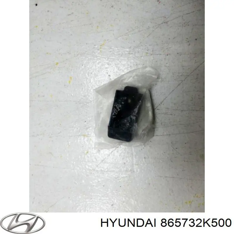 865732K500 Hyundai/Kia