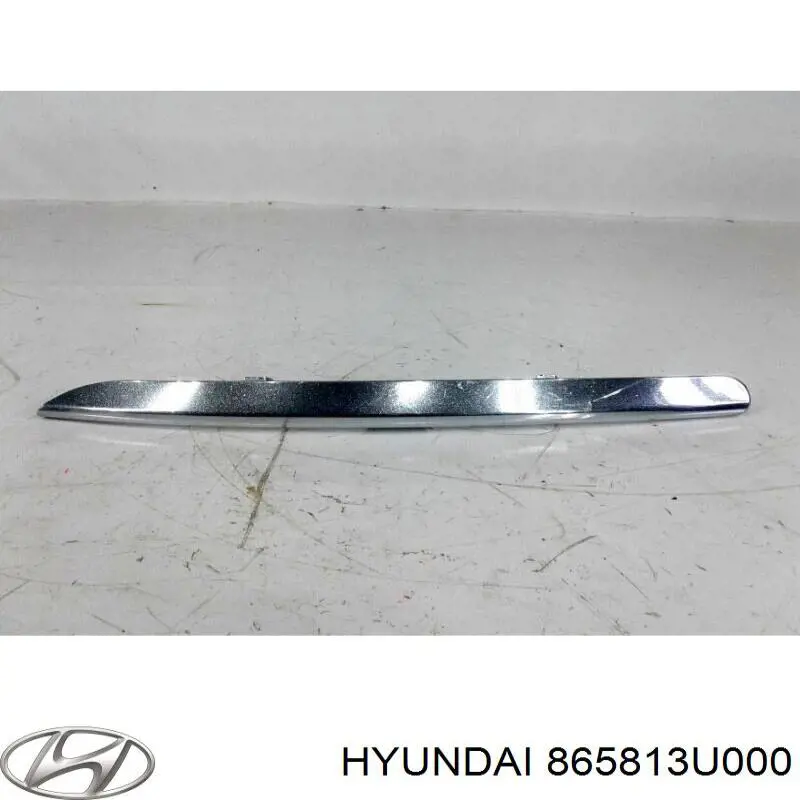 Moldura de parachoques delantera izquierda Hyundai/Kia 865813U000 precio, desde 79,42 EUR
