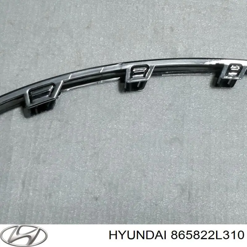 865822L310 Hyundai/Kia