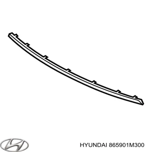 865901M300 Hyundai/Kia